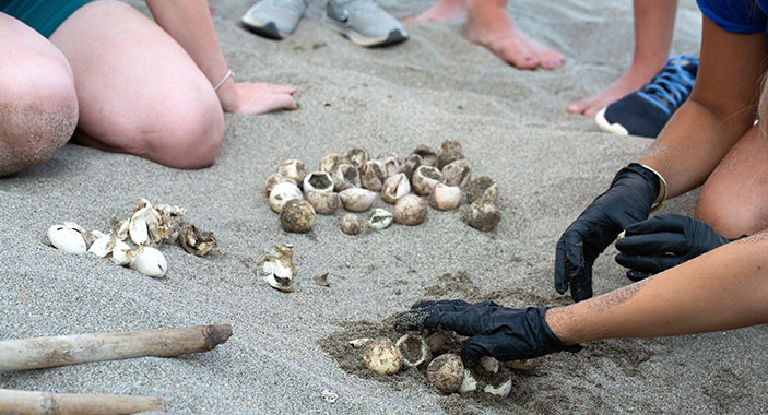 Biology Intern Opportunities in Costa Rica